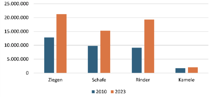 Balkendiagramm: Tierzahlen für Ziegen, Schafe, Rinder, Kamele 2010 (blau) vs 2023 (orange); Ziegen, Schafe und Rinder deutlich gestiegen.
